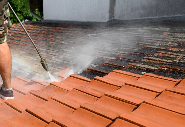 Best Garage Pressure Washing  in Paulden, AZ