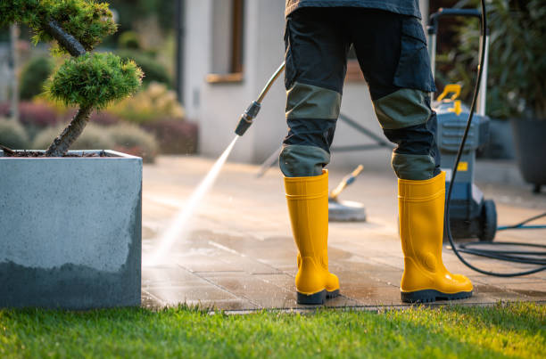 Best Pressure Washing Company Near Me  in Paulden, AZ